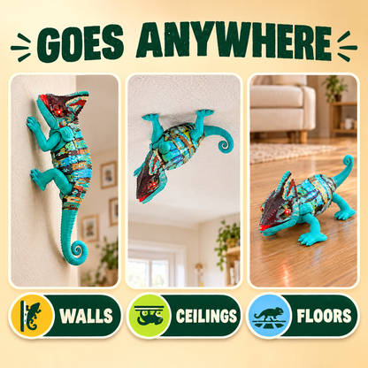WILDONE WALL CLIMB CHAMELEON
